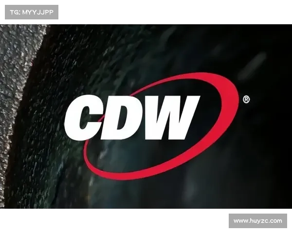 被声称由 LockBit 暴露的被盗波音数据 媒体